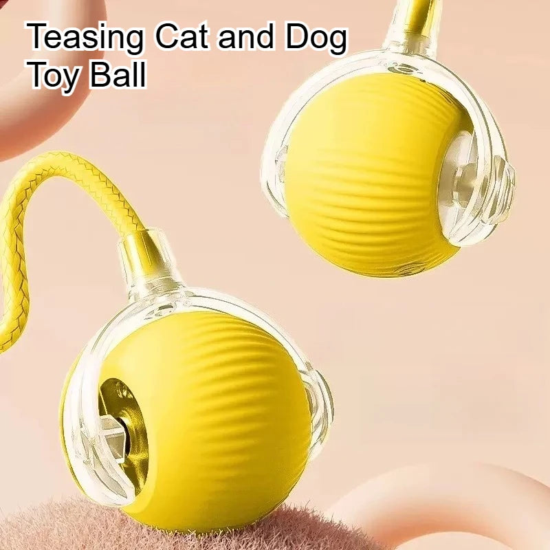 Teaser Ball with Rope Jumping Ball