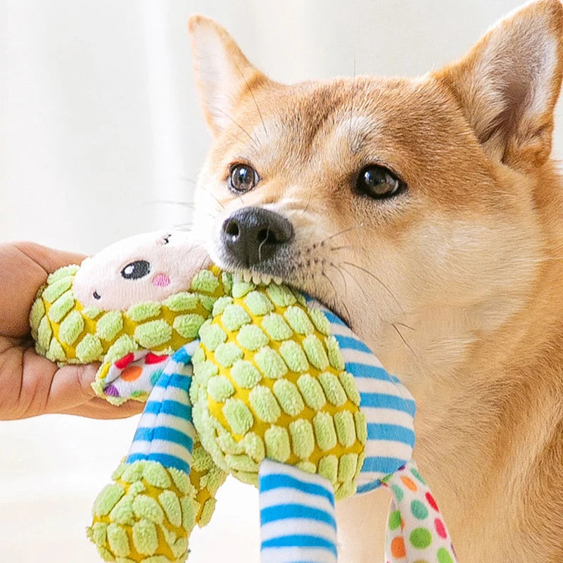 Pet Plush Squeaky Toy