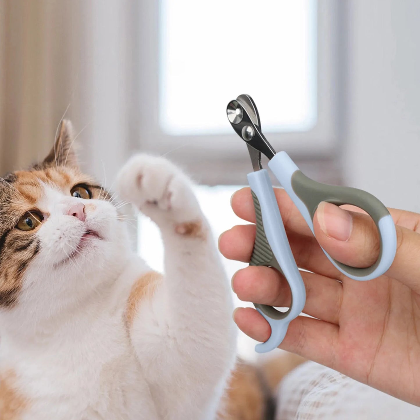 42387892338781|42387892469853