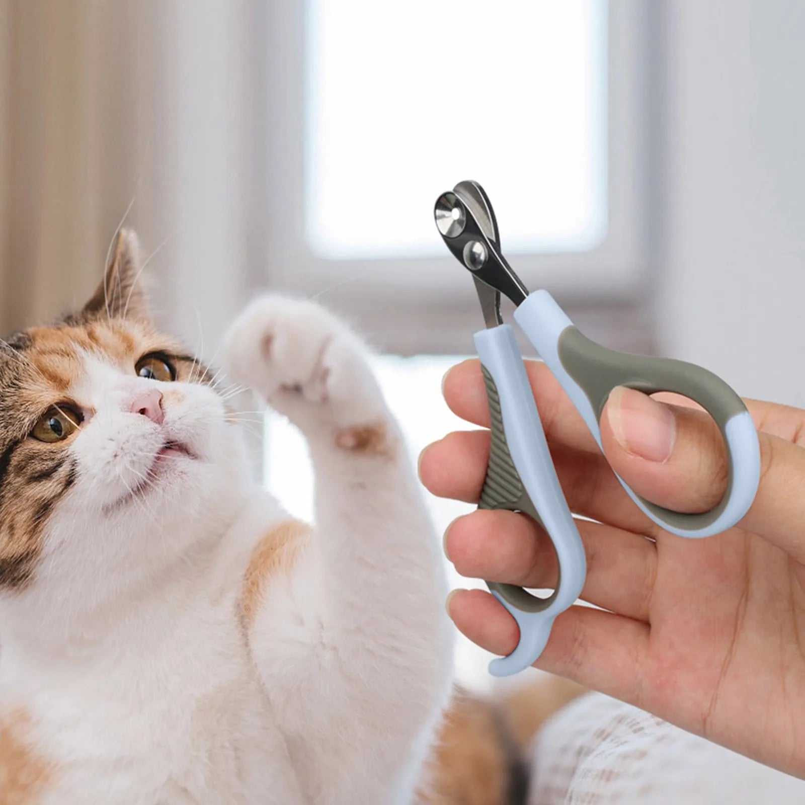 42387892338781|42387892469853