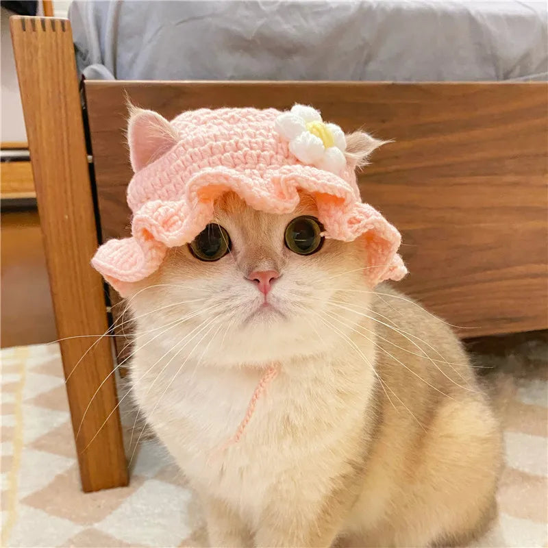 Pet Cat Hat