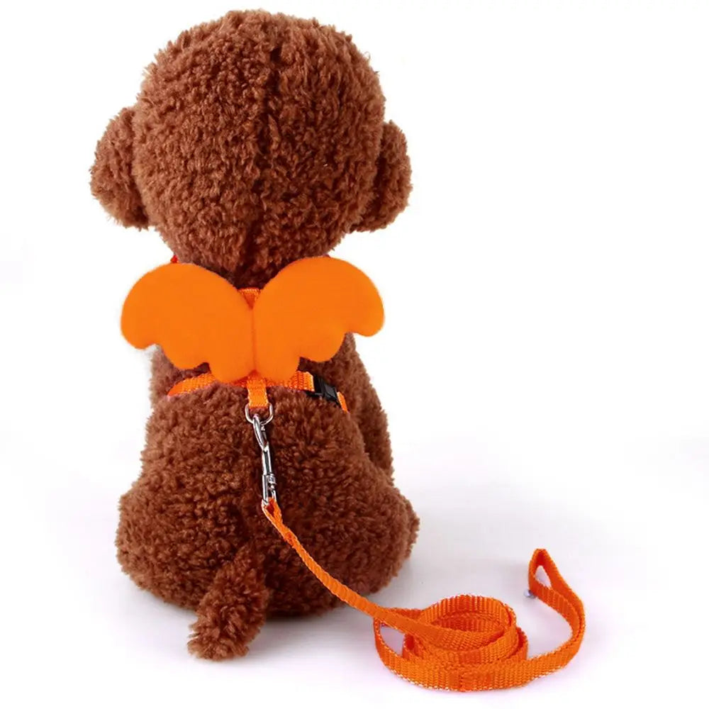 Outdoor Walking Animal Accessories
