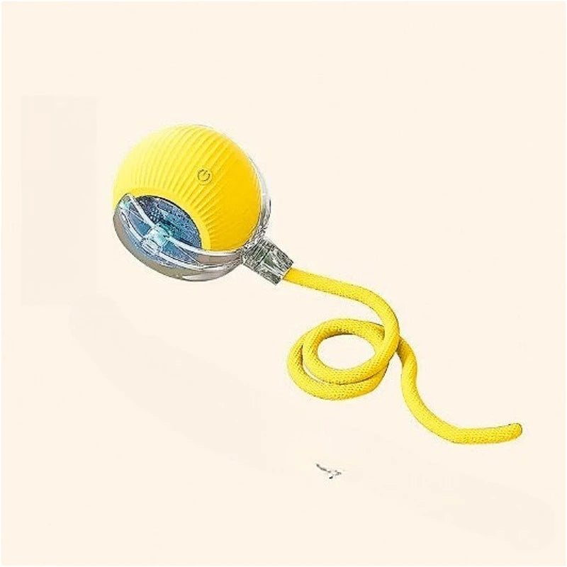 Teaser Ball with Rope Jumping Ball