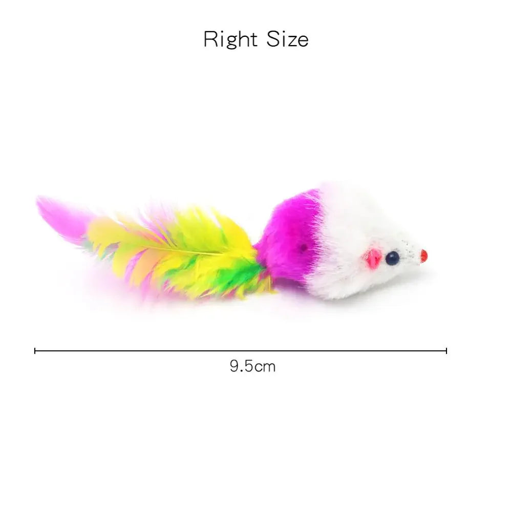 Pet Cat Toys