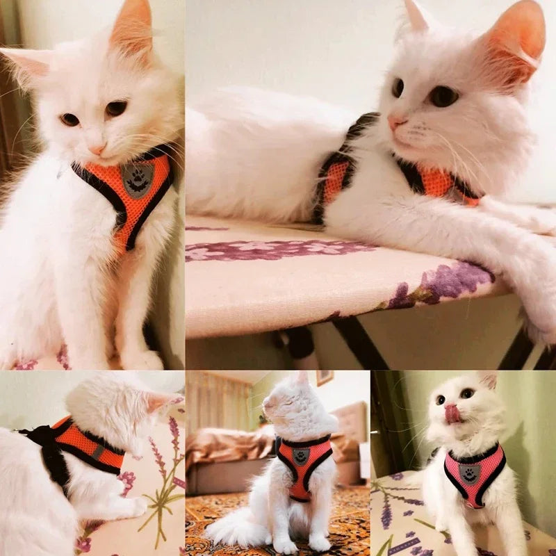 Pets Harness Vest Walking Lead Leash
