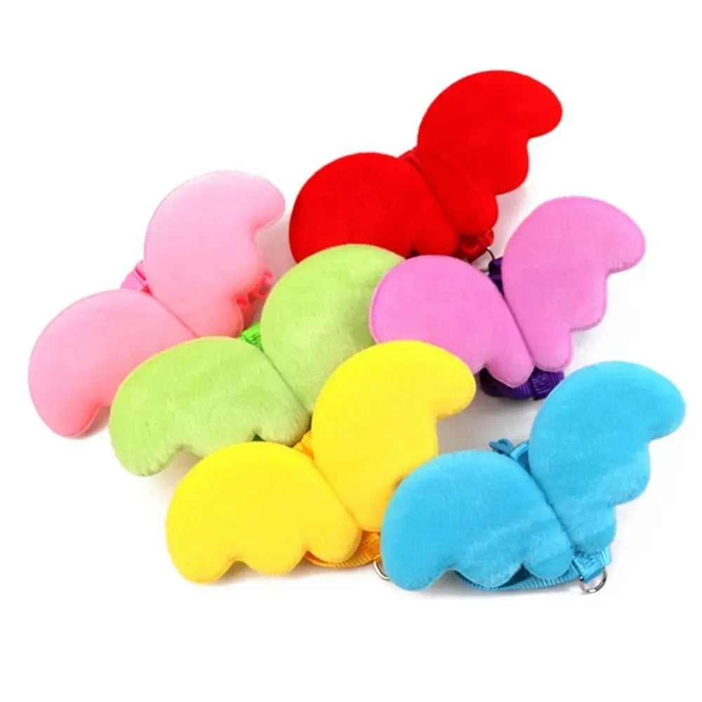 Outdoor Walking Animal Accessories