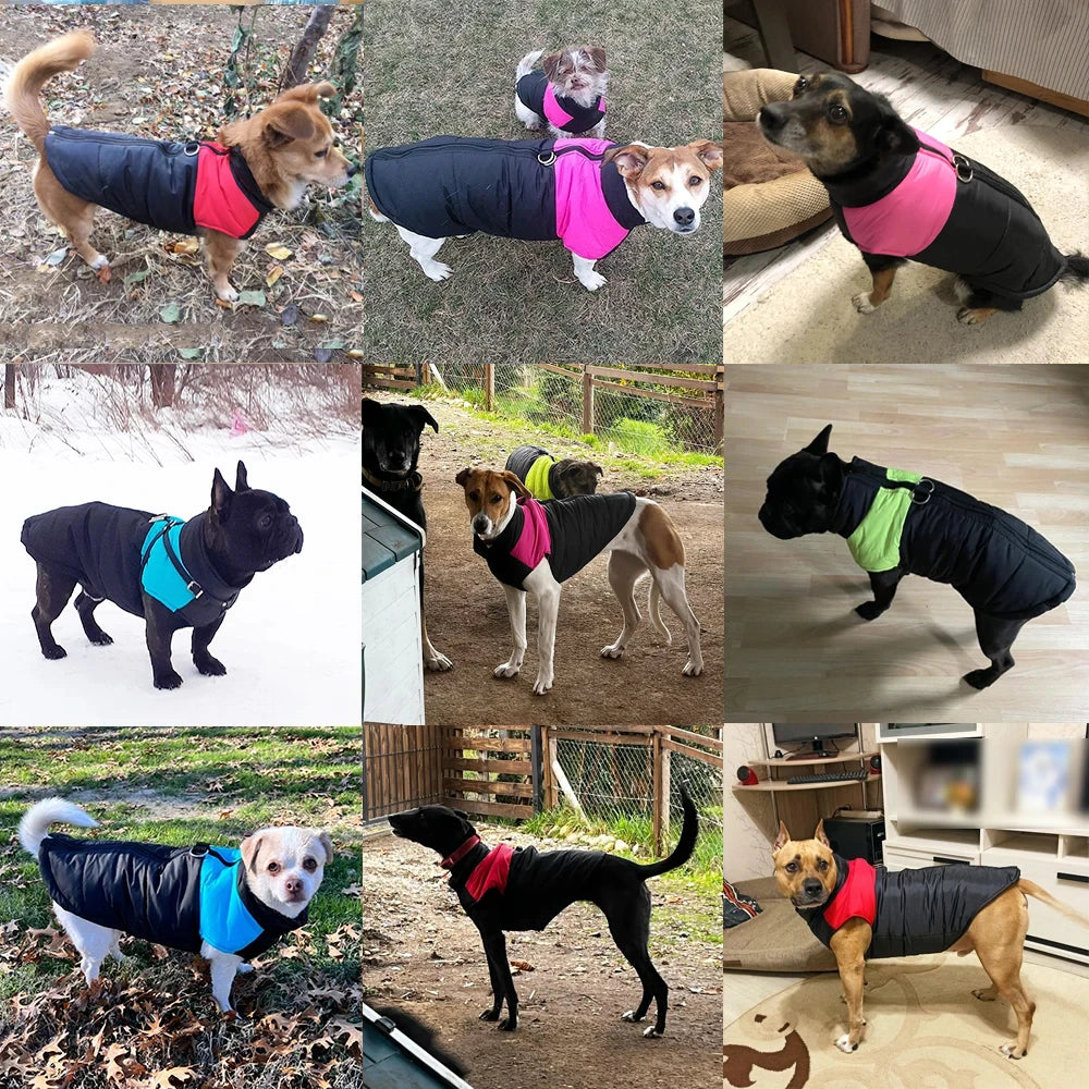 Pet Dog Warm Winter waterproof jackets