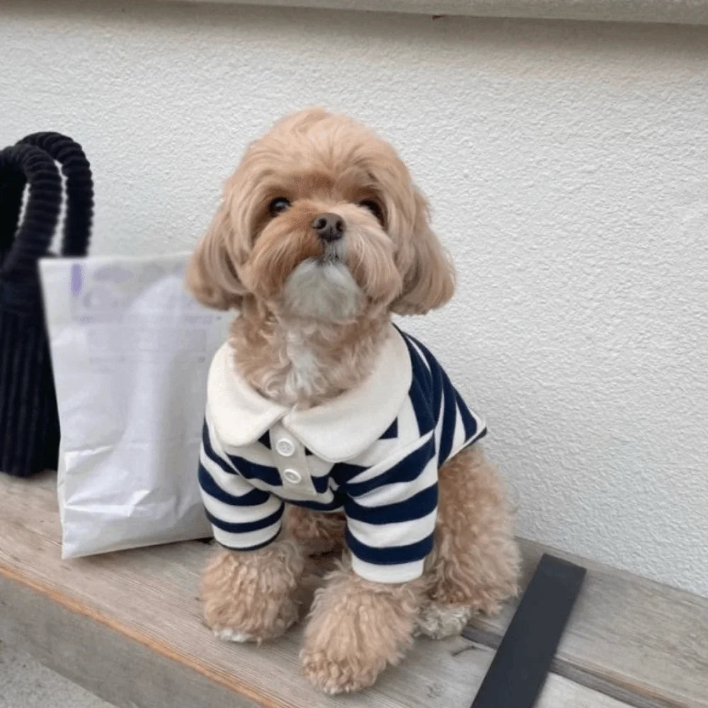 Fashion Collared Style Dog T-Shirt