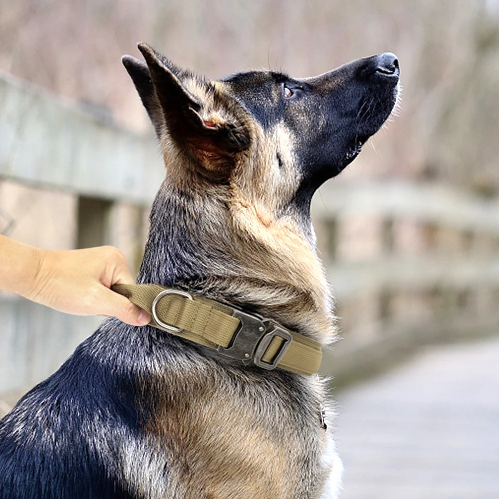 Military-Grade Dog Collar & Bungee Leash