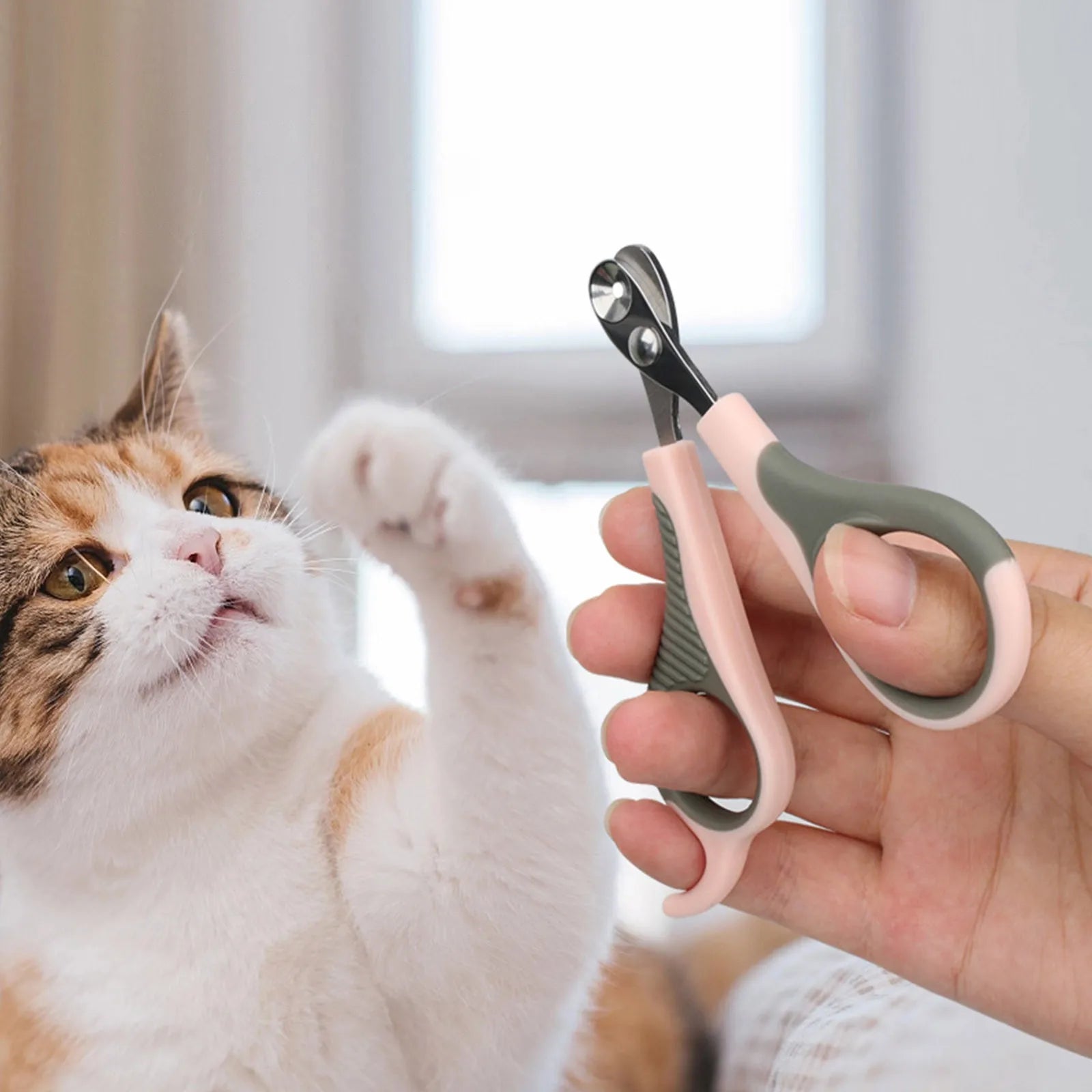 42387892306013|42387892437085