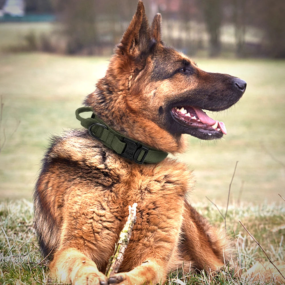 Military-Grade Dog Collar & Bungee Leash