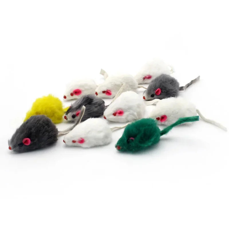 Pet Cat Toys