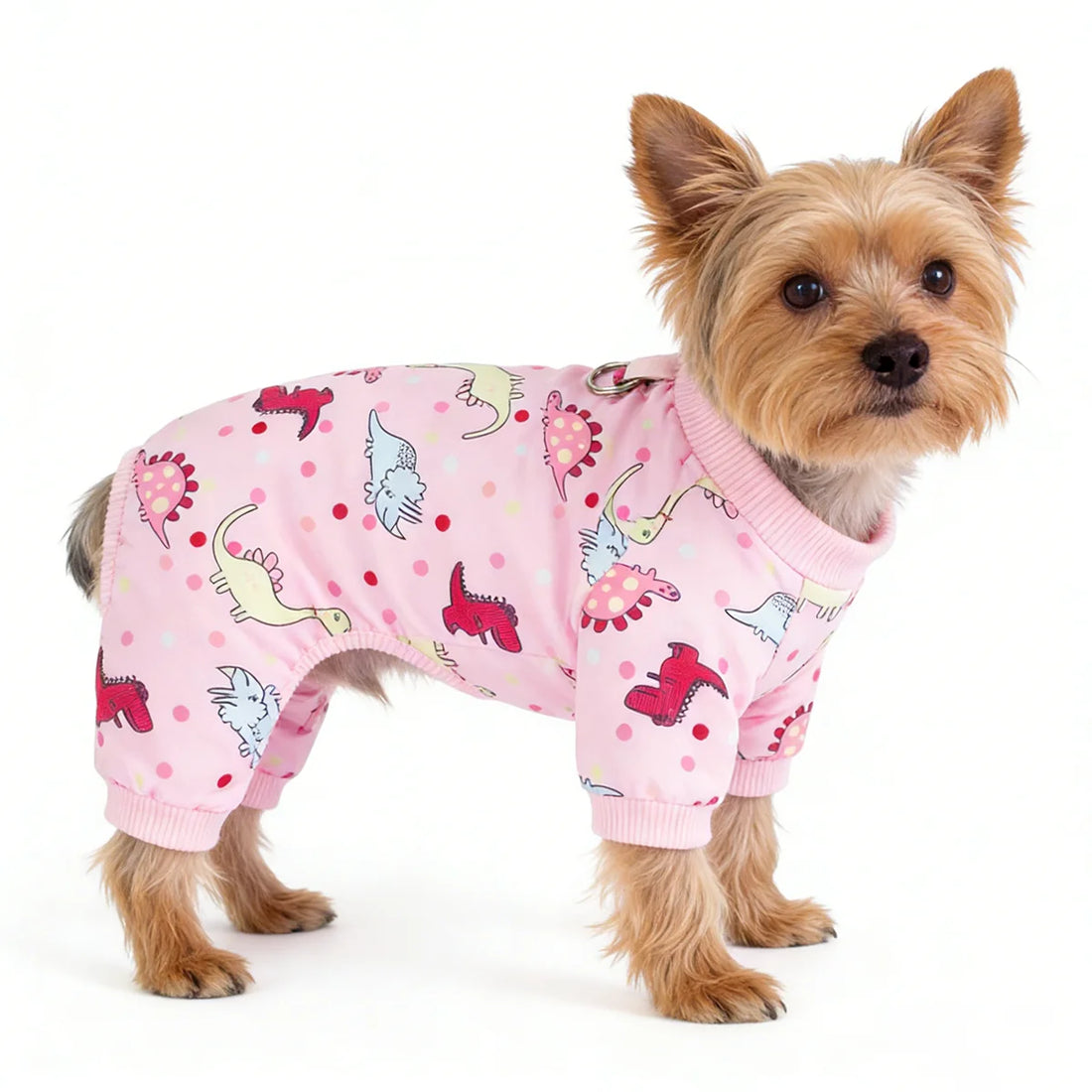 Dog Pajamas for small dogs