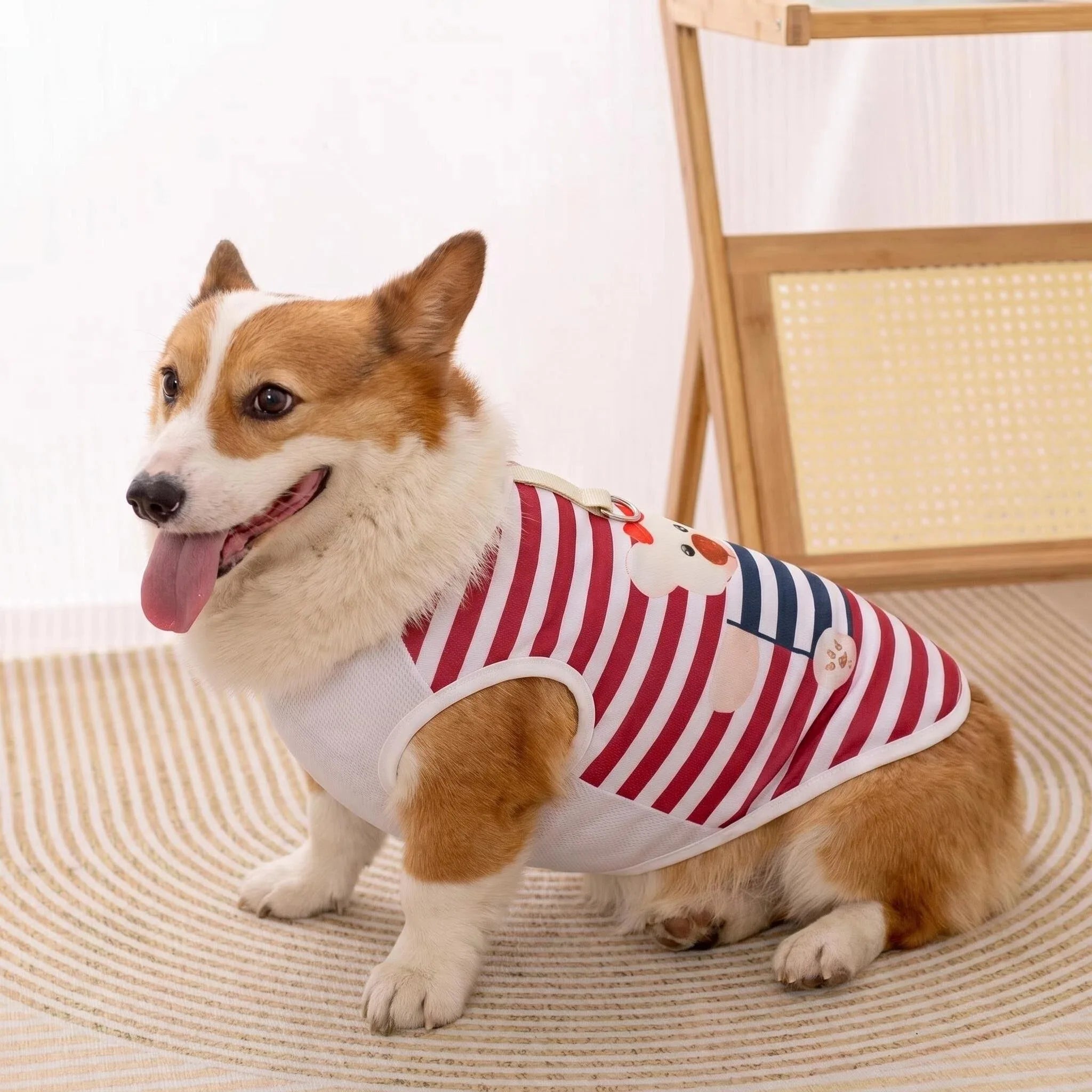 Cooling Summer Pet Vest