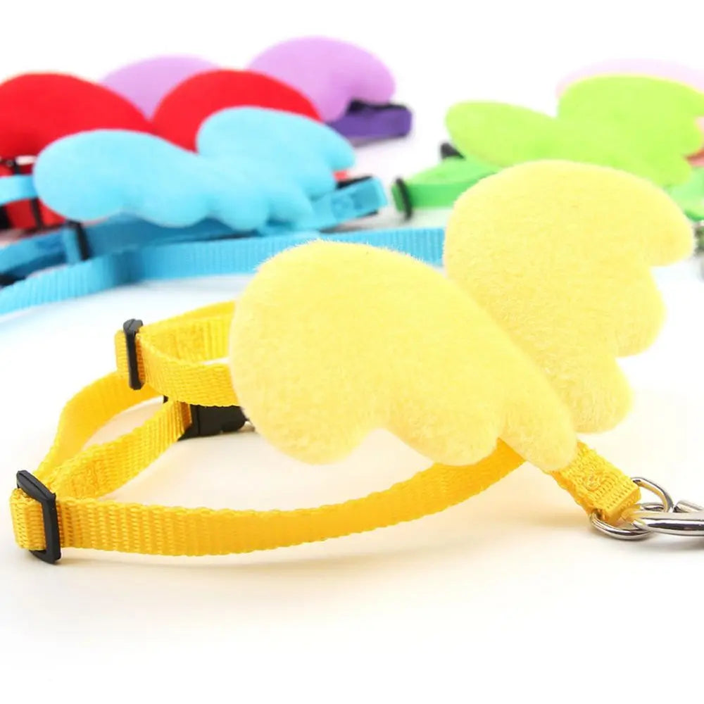 Outdoor Walking Animal Accessories