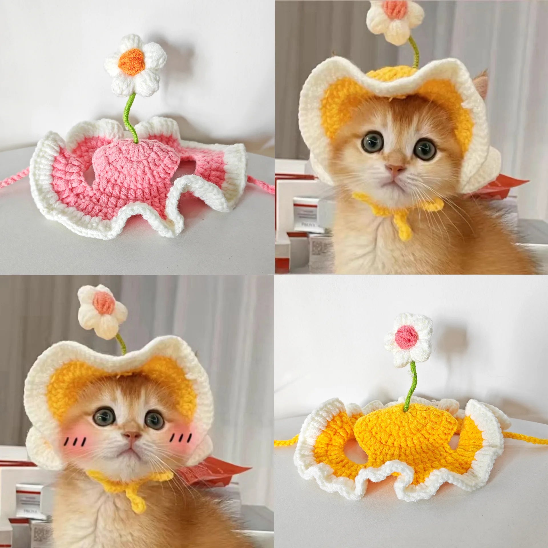 Pet Cat Hat