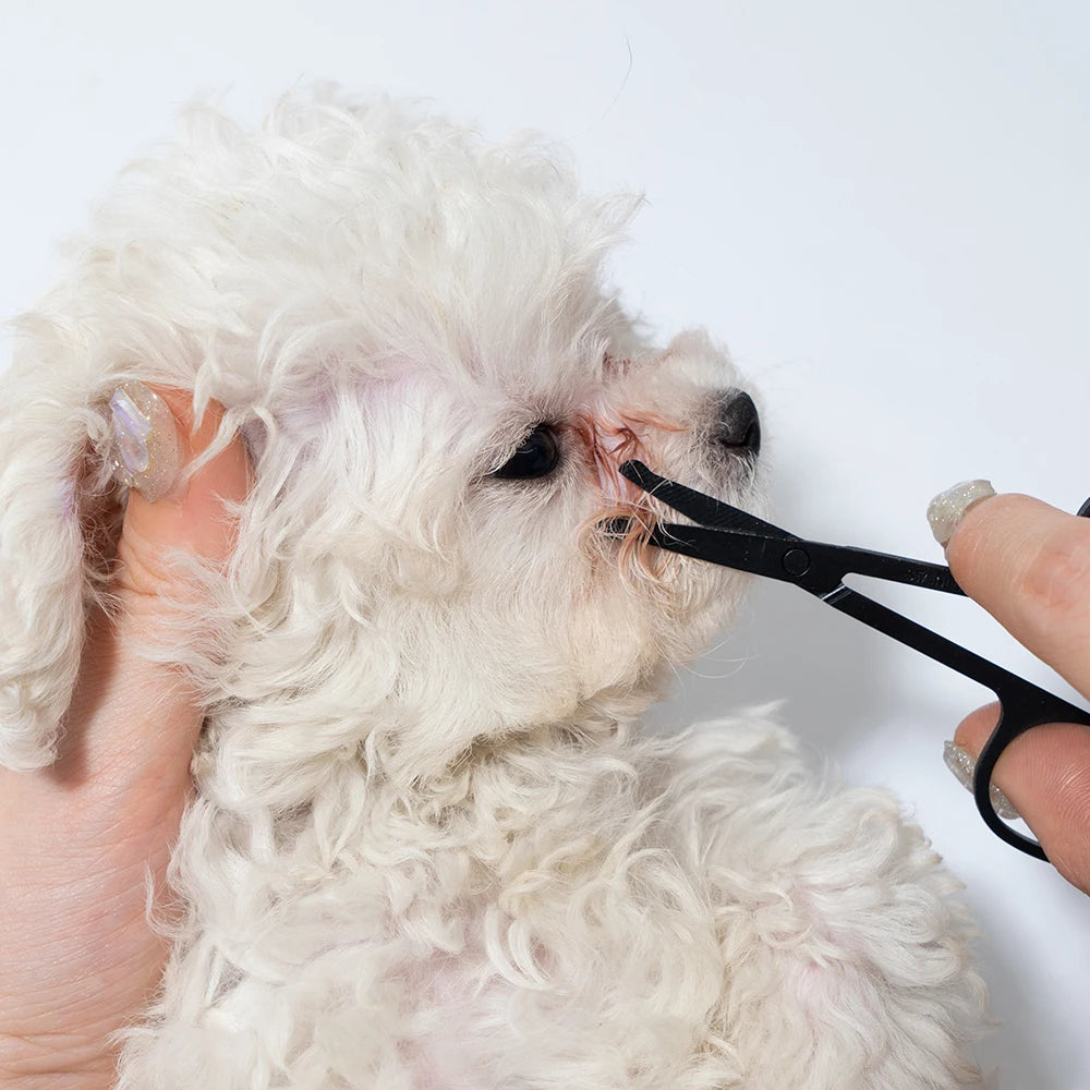 Pet Facial Cleaning Scissors & Comb Set