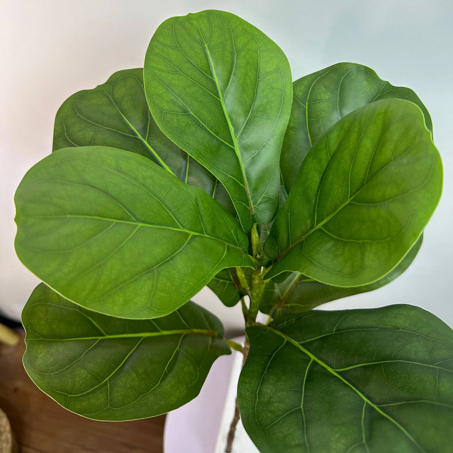 Home Garden Faux Ficus Tree