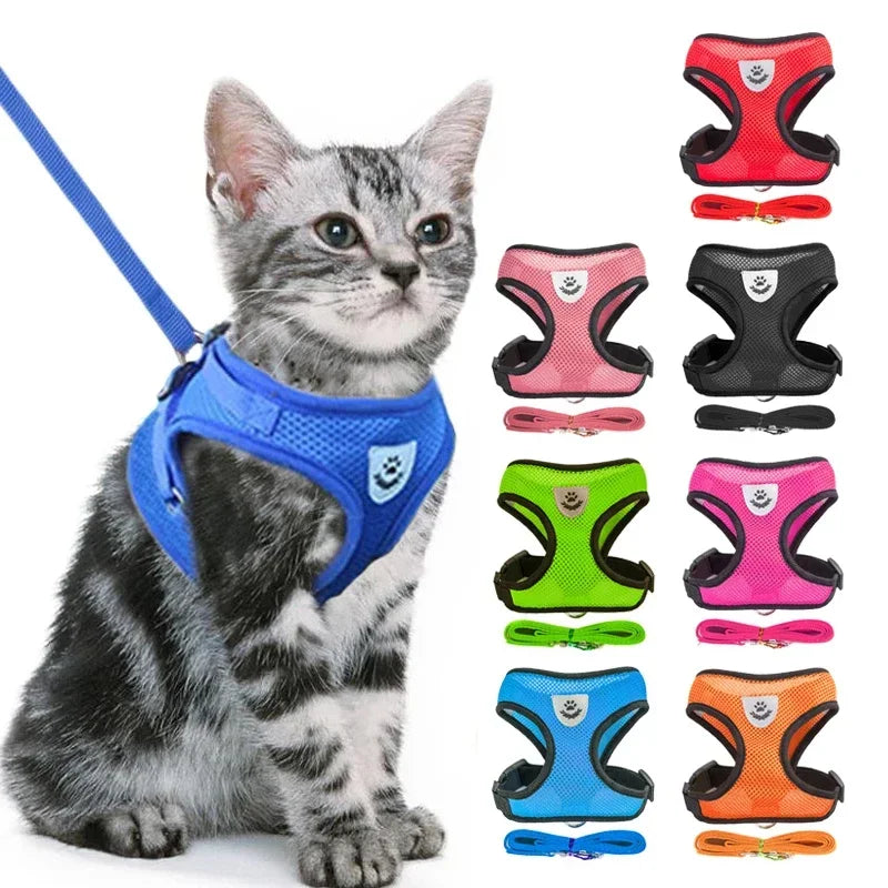 Pets Harness Vest Walking Lead Leash