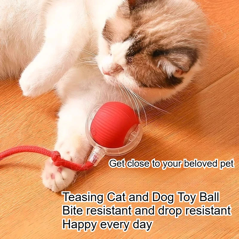 Teaser Ball with Rope Jumping Ball
