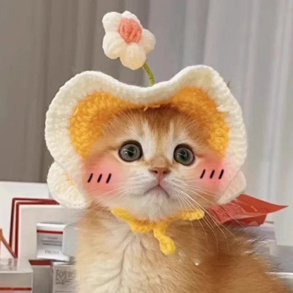 Pet Cat Hat