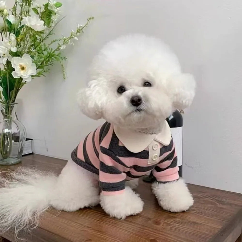 Fashion Collared Style Dog T-Shirt