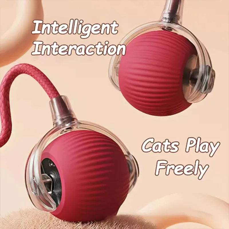 Teaser Ball with Rope Jumping Ball
