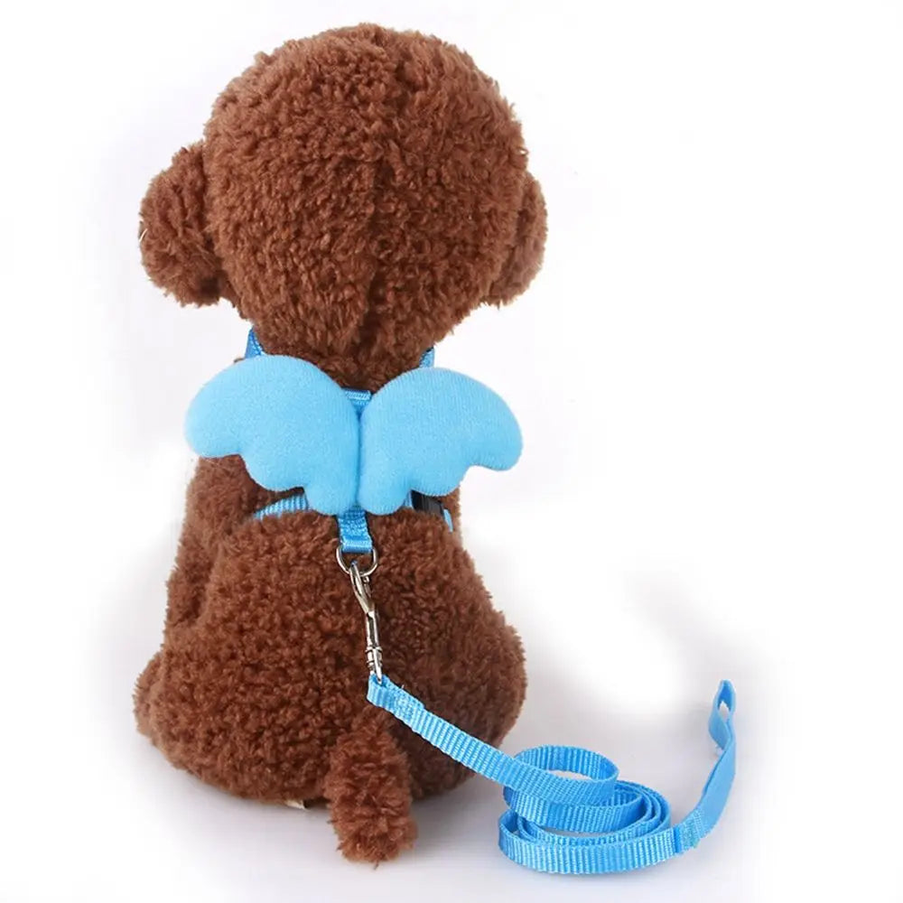 Outdoor Walking Animal Accessories