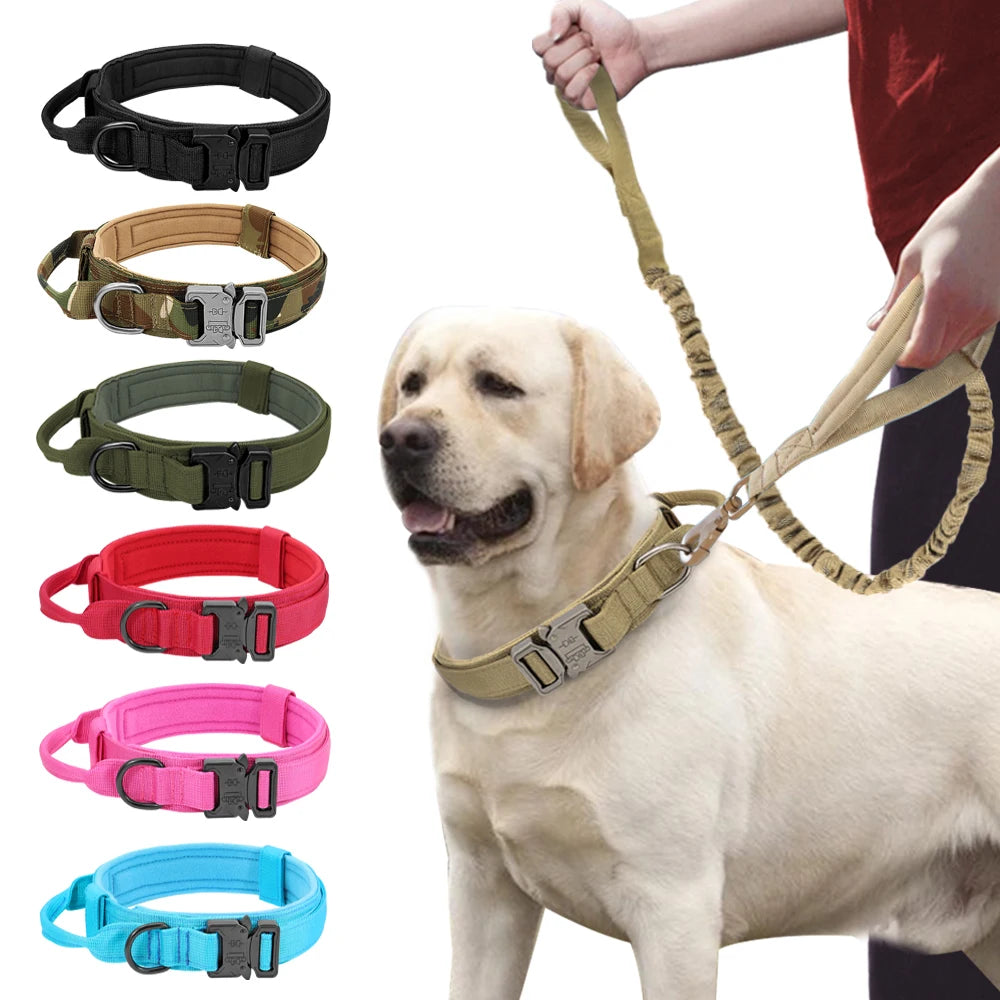 Military-Grade Dog Collar & Bungee Leash
