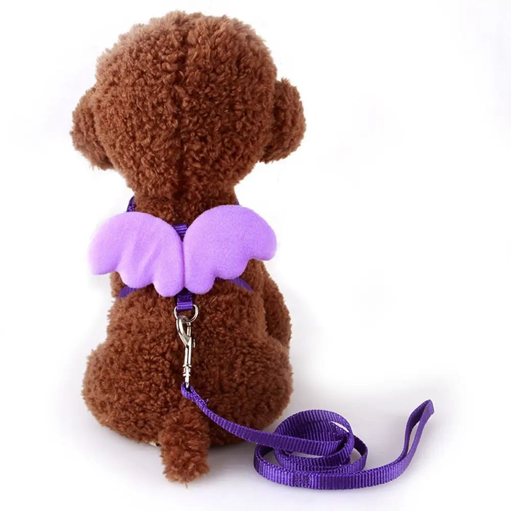 Outdoor Walking Animal Accessories