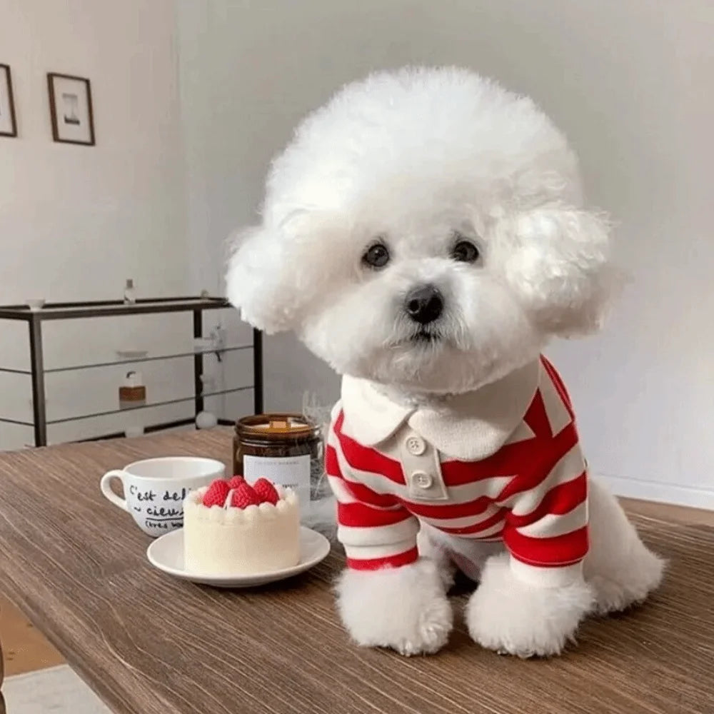 Fashion Collared Style Dog T-Shirt