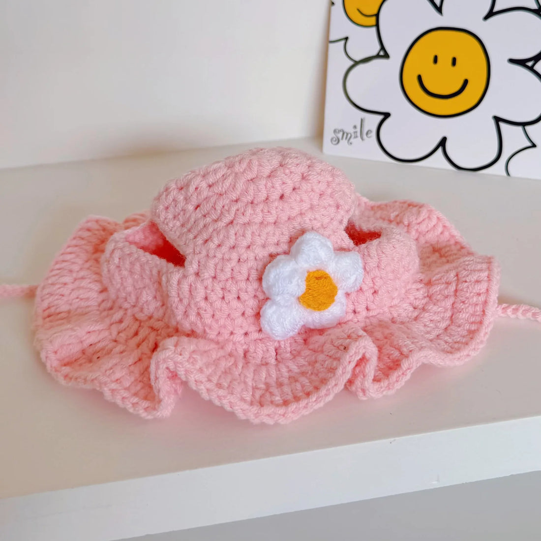 Pet Cat Hat