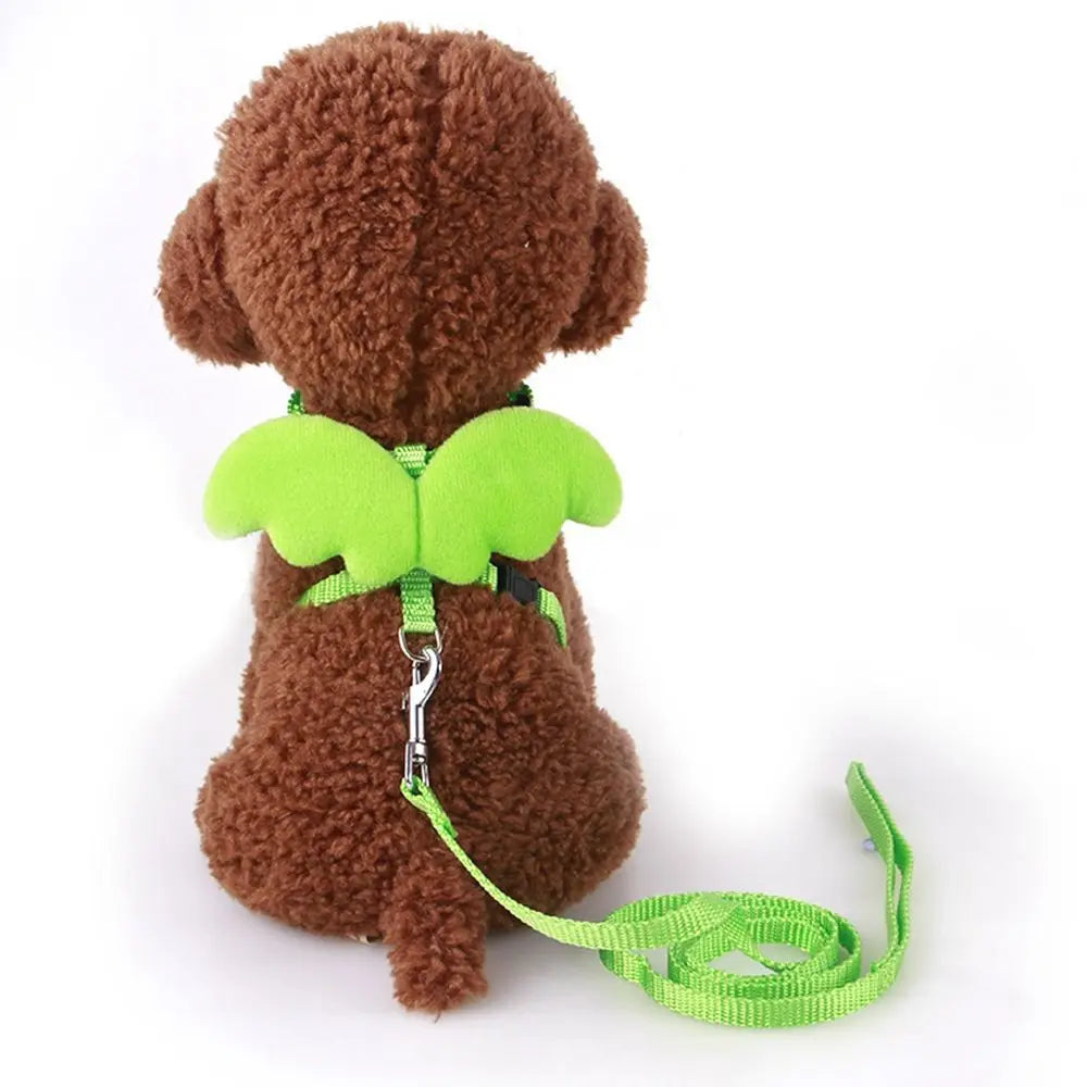 Outdoor Walking Animal Accessories