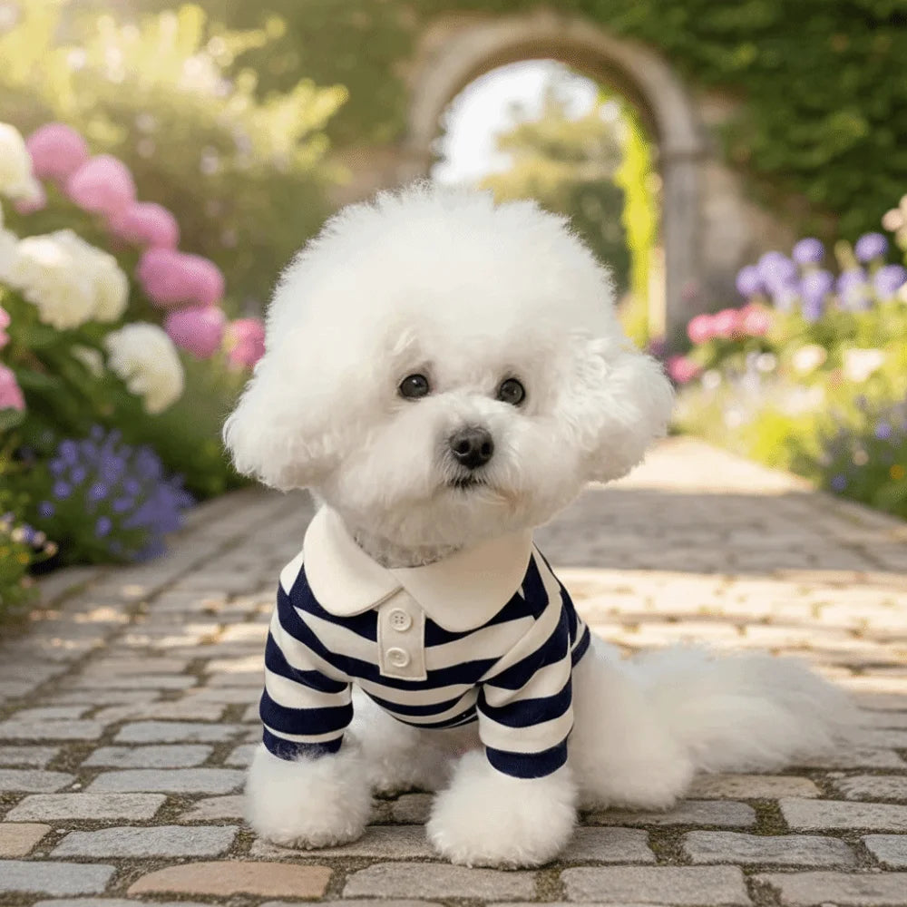 Fashion Collared Style Dog T-Shirt