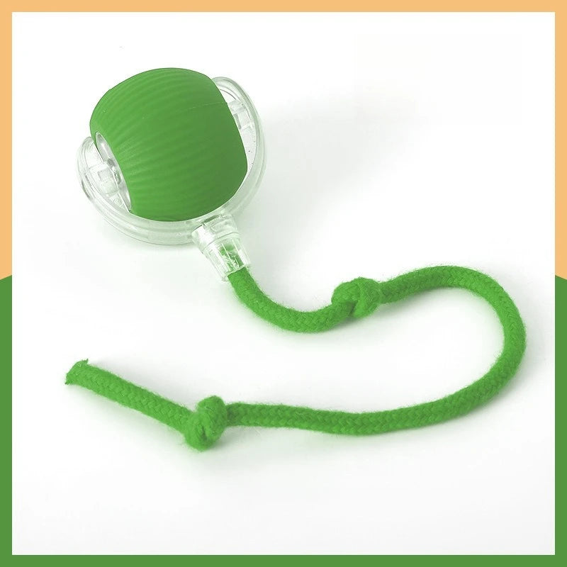 Teaser Ball with Rope Jumping Ball