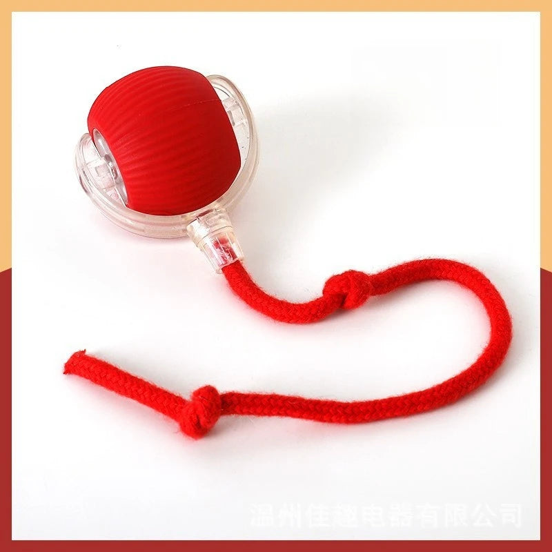 Teaser Ball with Rope Jumping Ball