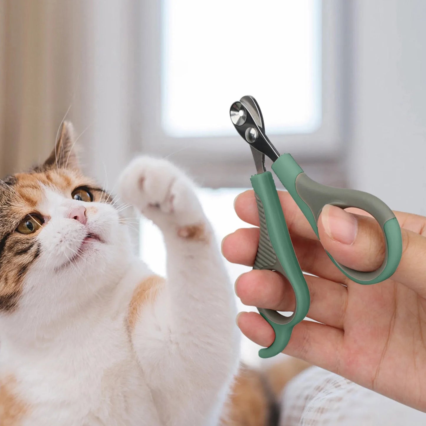 42387892371549|42387892404317