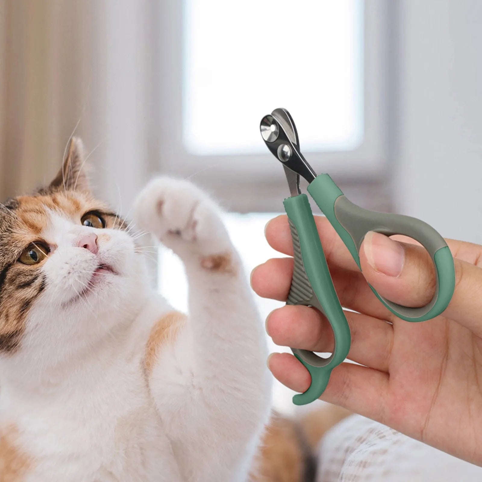 42387892371549|42387892404317