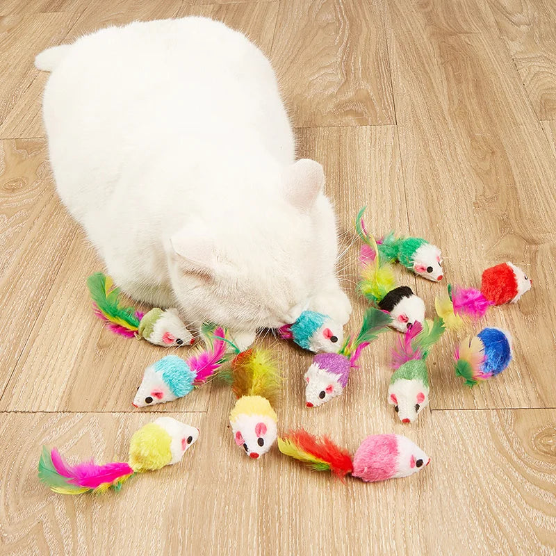 Pet Cat Toys