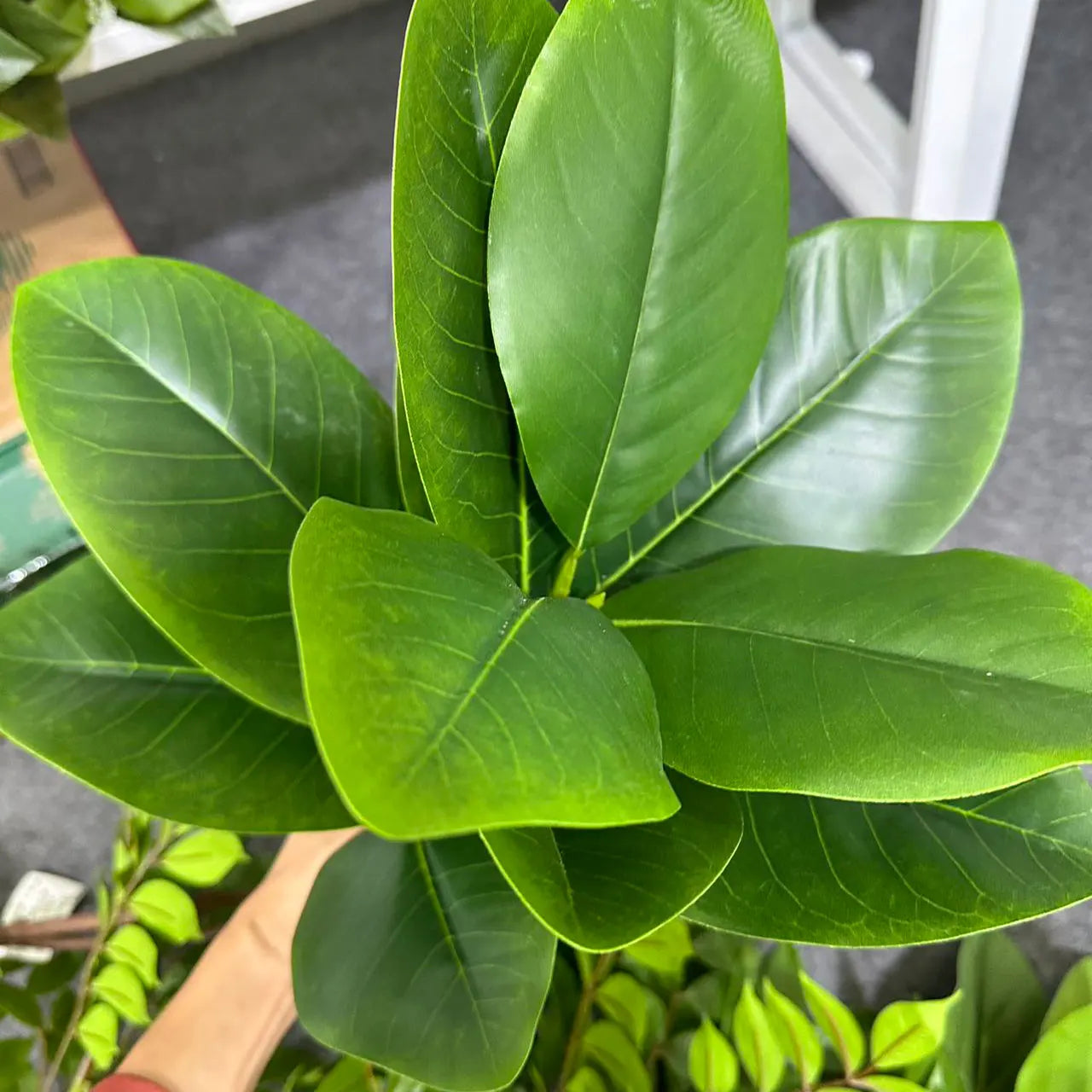 Home Garden Faux Ficus Tree