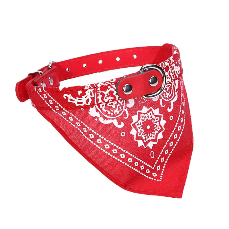 Cat Dog Collar with Scarf