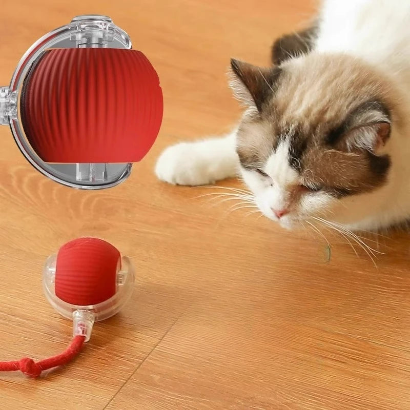 Teaser Ball with Rope Jumping Ball