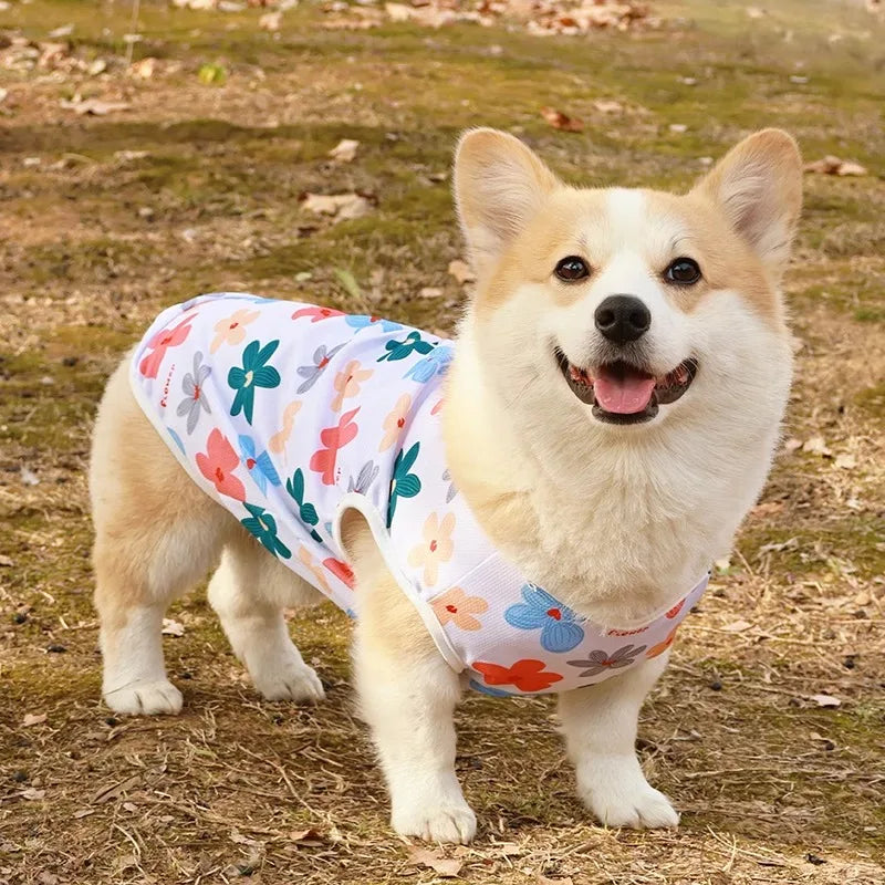 Cooling Summer Pet Vest
