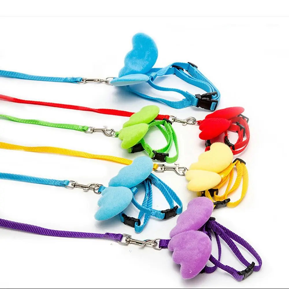 Outdoor Walking Animal Accessories