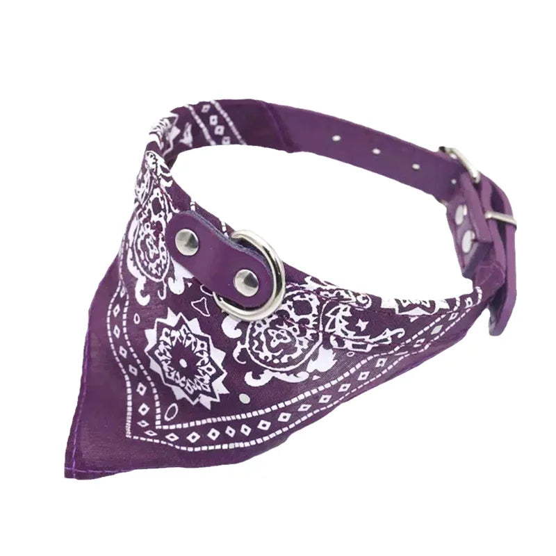 Cat Dog Collar with Scarf
