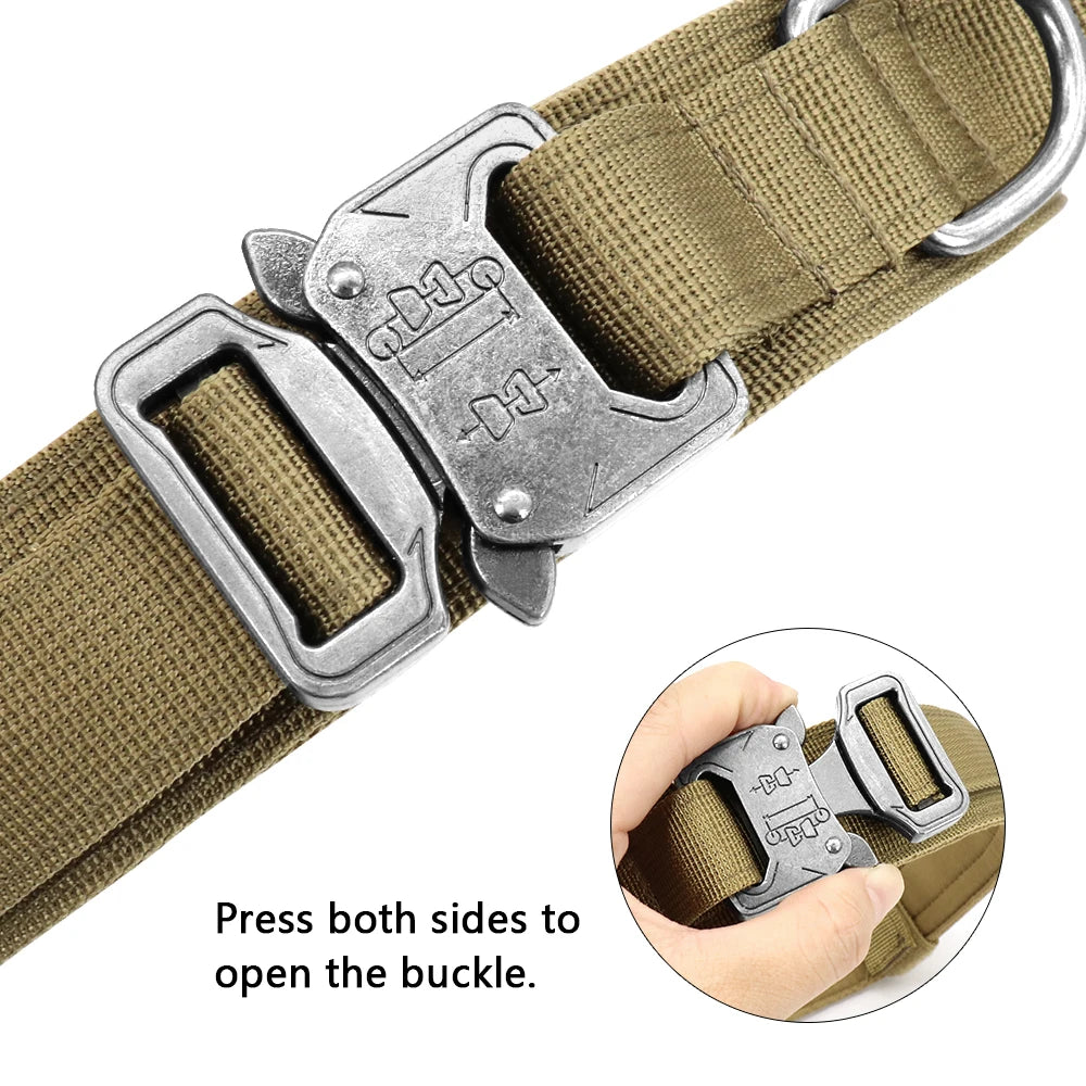 Military-Grade Dog Collar & Bungee Leash