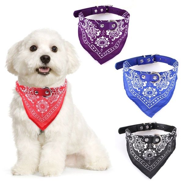 Cat Dog Collar with Scarf